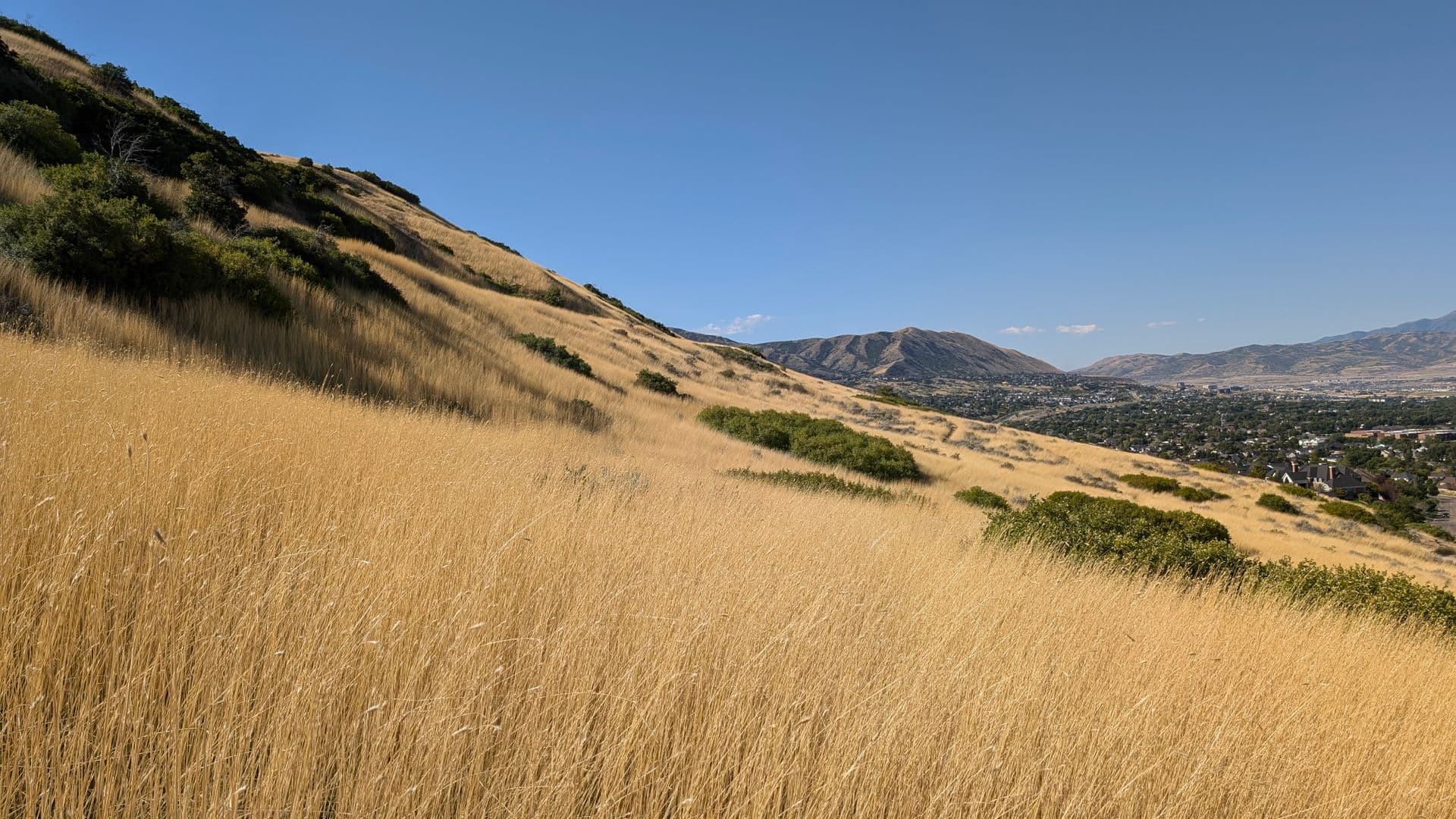 Golden hills overlooking Draper, Utah near the Corner Canyon trail network.