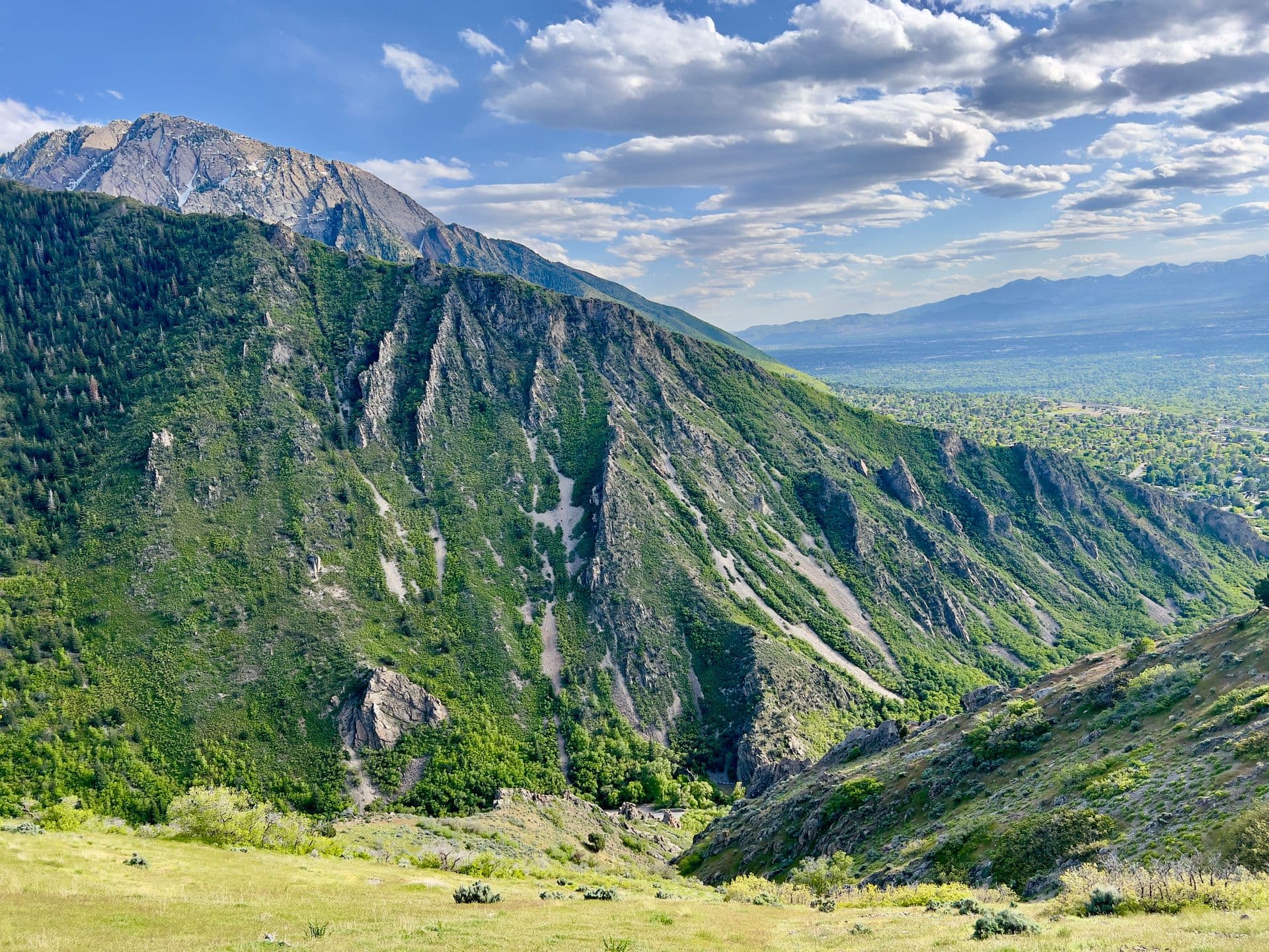 Green Wasatch foothills above the Holladay and Millcreek area of Salt Lake County, Utah.